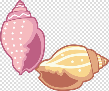 Conch , Cartoon color conch transparent background PNG clipart Conch , Cartoon color conch transparent background PNG clipart