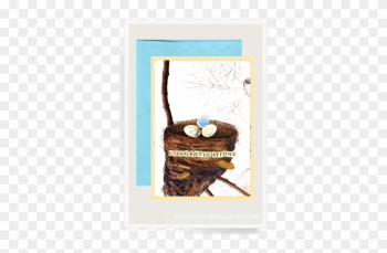 Congratulations Nest Folded Greeting Card - Picture Frame Congratulations Nest Folded Greeting Card - Picture Frame