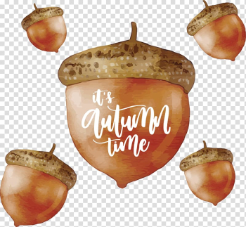 Conifer cone Autumn, Hand painted pine cone autumn Poster transparent background PNG clipart