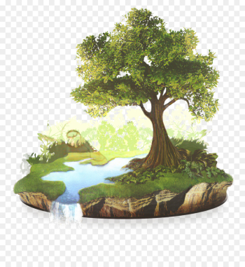 Conservation, Agriculture, Natural Environment, Tree, Natural Landscape PNG