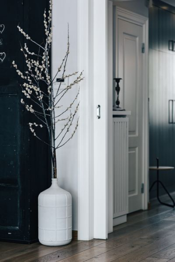 Contemporary interior with catkins Contemporary interior with catkins
