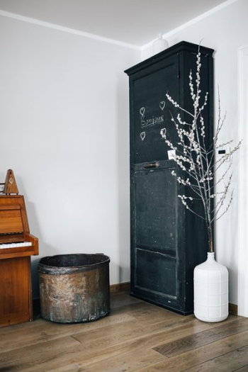 Contemporary interior with catkins Contemporary interior with catkins
