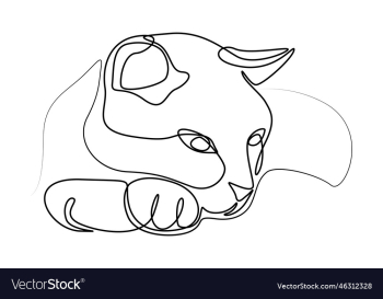 contour cat muzzle kitty contour cat muzzle kitty