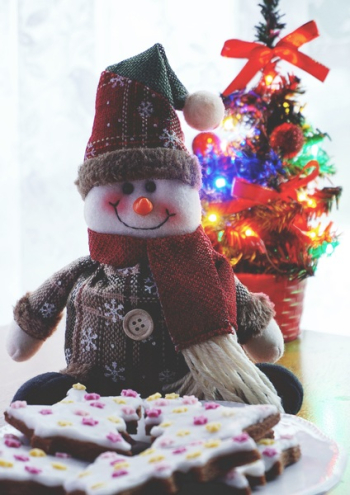 Cookies And Snowman Plush Toy Cookies And Snowman Plush Toy