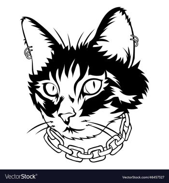 cool black cat cool black cat