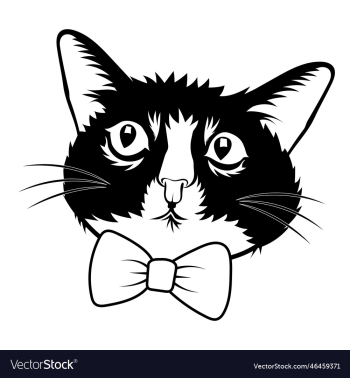 cool cat with bow cool cat with bow