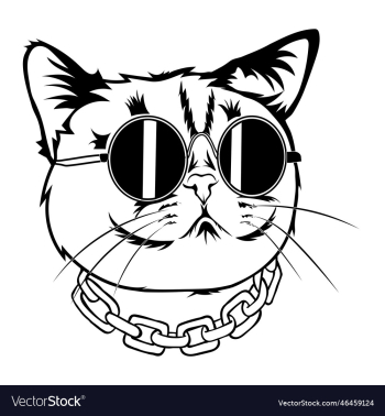 cool cat with goggles cool cat with goggles