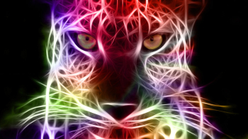 Cool Cheetah: Rainbow Edition - Cheetah Photo (37634456) - Fanpop