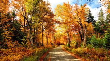 Cooler, cheaper and less crowded: 34 fall weekend trips you should ...