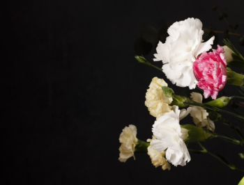 Copy-space blooming flowers Free Photo Copy-space blooming flowers Free Photo