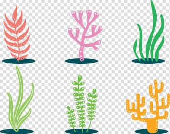 Coral , Colorful plants transparent background PNG clipart