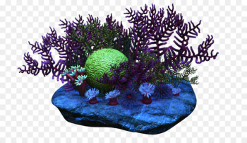 Coral reef Clip art - coral Coral reef Clip art - coral