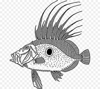 Coral reef fish Blue Tang Scale Clip art - fish Coral reef fish Blue Tang Scale Clip art - fish