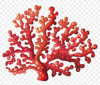 Coral Reef Royalty-free Clip Art - Coral Reef Clipart Coral Reef Royalty-free Clip Art - Coral Reef Clipart