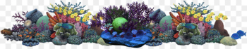 Coral reef Underwater Alcyonacea Sea - sea Coral reef Underwater Alcyonacea Sea - sea