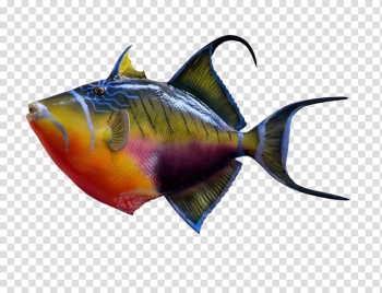 Coral reef Underwater Tropical fish Seawater, Colorful fish transparent background PNG clipart