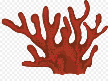 Coral Seaweed Clip art - coral Coral Seaweed Clip art - coral
