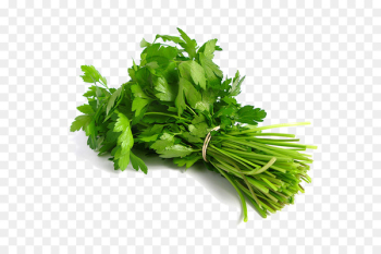 Coriander Indian cuisine Thai cuisine Herb Leaf vegetable - vegetable 