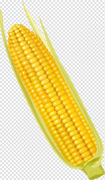 Corn on the cob Maize Corncob Vegetable, Cartoon yellow corn transparent background PNG clipart