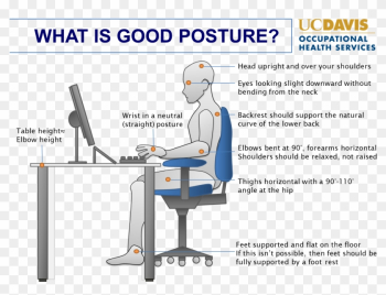 Correct Sitting Posture For Computer - Uc Davis Medical Center Correct Sitting Posture For Computer - Uc Davis Medical Center
