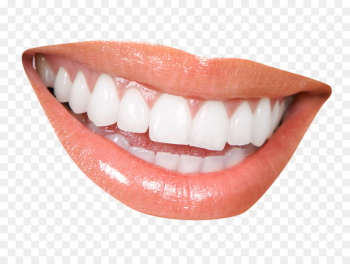 Cosmetic dentistry Clinic Periodontology - Teeth Cosmetic dentistry Clinic Periodontology - Teeth