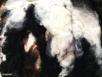Cotton abstract animal | Free stock photo - 327814 Cotton abstract animal | Free stock photo - 327814