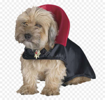 Count Dracula Dog Cat Disguise - Dog clothes Count Dracula Dog Cat Disguise - Dog clothes