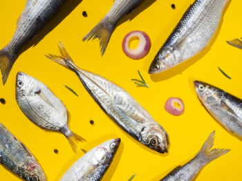 Couple of fresh fishes with yellow background Free Photo Couple of fresh fishes with yellow background Free Photo