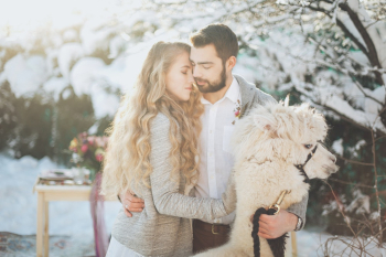 Couple With A Llama Couple With A Llama
