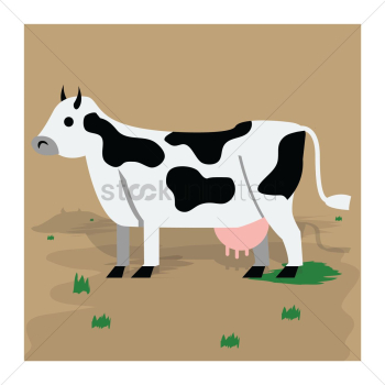 Cow Cow