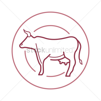 Cow Cow