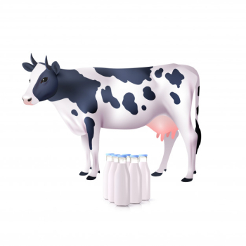 Cow and milk bottles Cow and milk bottles