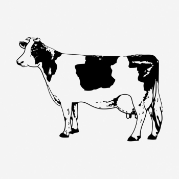 Cow, bull clipart, farm animal | Free Vector - rawpixel Cow, bull clipart, farm animal | Free Vector - rawpixel
