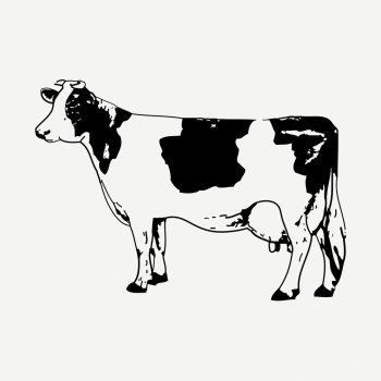 Cow, bull drawing, farm animal | Free PSD - rawpixel