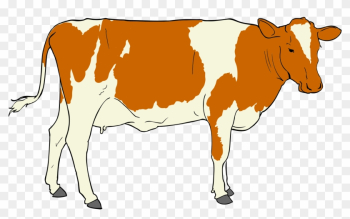 Cow Clipart - Beef Janata Party Cow Clipart - Beef Janata Party
