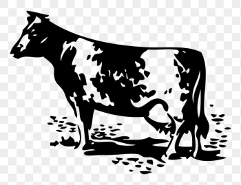 Cow, farm animal png sticker, | Free PNG - rawpixel Cow, farm animal png sticker, | Free PNG - rawpixel