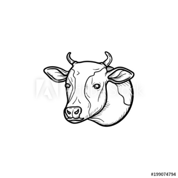 Cow head hand drawn outline doodle icon Cow head hand drawn outline doodle icon