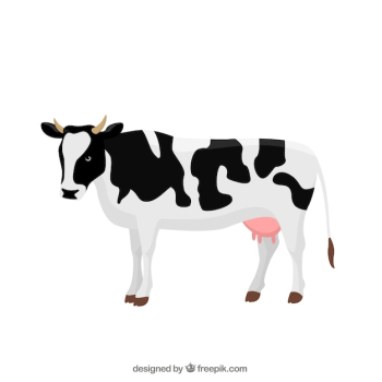 Cow illustration Cow illustration