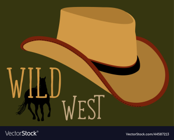 cowboy hat cowboy hat