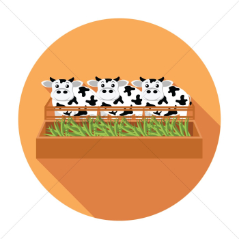 Cows in a farm Cows in a farm