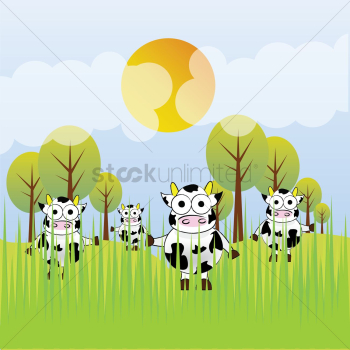 Cows in a field Cows in a field