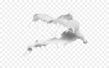 Cows milk Splash - Milk Splash Cows milk Splash - Milk Splash