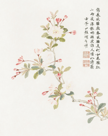Crab-apple blossom (1656) vintage Chinese | Free Photo Illustration - rawpixel Crab-apple blossom (1656) vintage Chinese | Free Photo Illustration - rawpixel