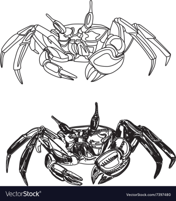 Crab-free vector image Crab-free vector image