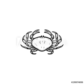 Crab hand drawn outline doodle icon Crab hand drawn outline doodle icon