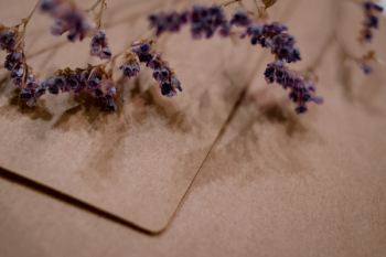Craft envelope with dried flower closeup Craft envelope with dried flower closeup
