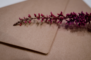 Craft envelope with dried flower closeup 2 Craft envelope with dried flower closeup 2