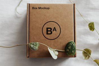 Craft Paper Box Mockup box mockup ba Craft Paper Box Mockup box mockup ba