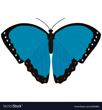 cramers blue butterfly cramers blue butterfly