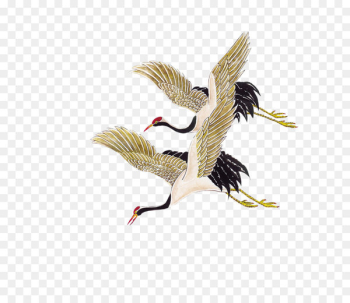 Crane Bird - Crane Crane Bird - Crane